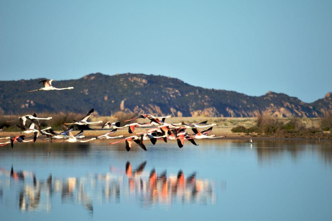 Villa Ferdinanda Costa Rei, Sardegna Bagian luar foto